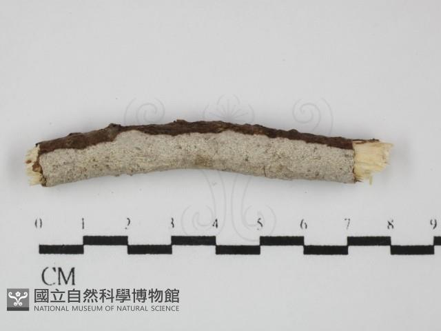 登錄號:F0031443藏品圖，第3張
