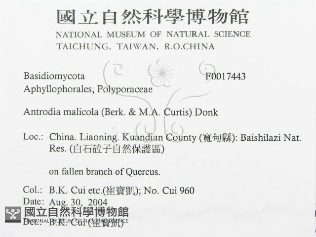 登錄號:F0017443藏品圖，第3張