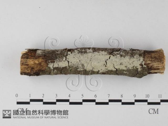 登錄號:F0025443藏品圖，第1張