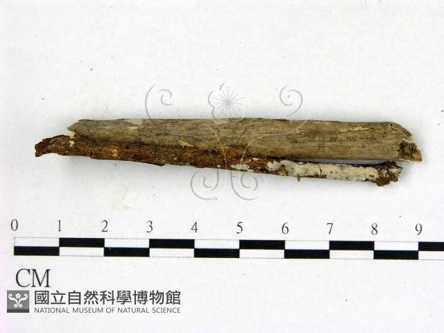 登錄號:F0013443藏品圖，第1張