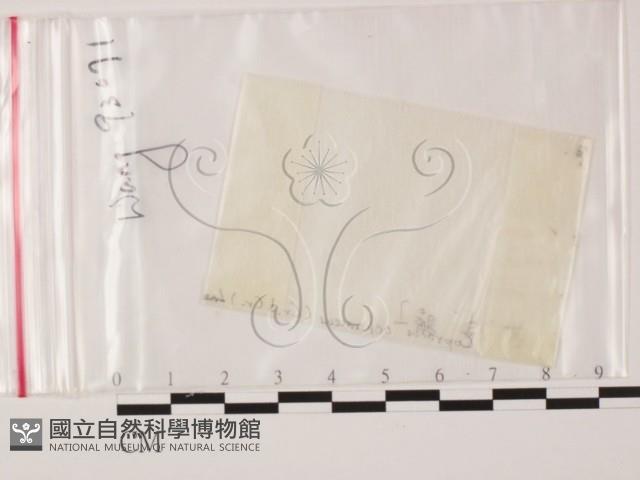 登錄號:F0000743藏品圖，第1張