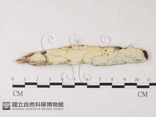 登錄號:F0026743藏品圖，第1張