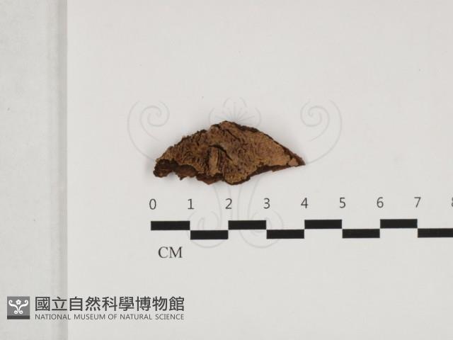 登錄號:F0016743藏品圖，第1張