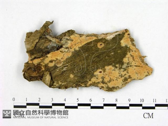 登錄號:F0021743藏品圖，第1張