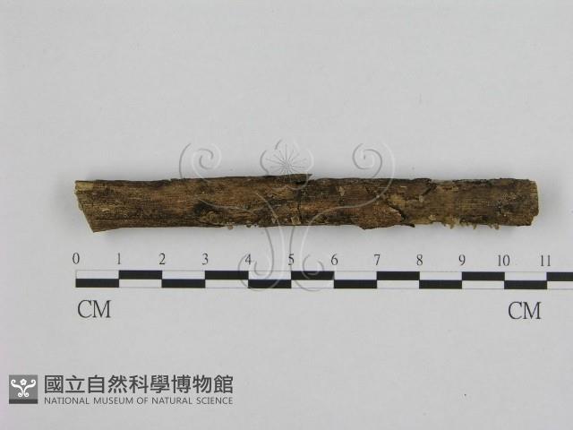 登錄號:F0001743藏品圖，第1張