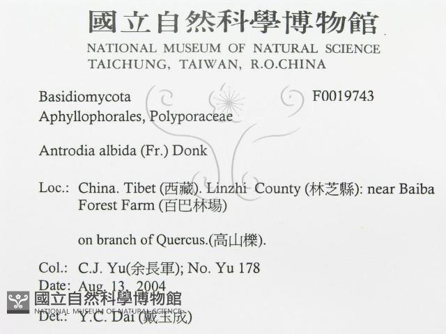 登錄號:F0019743藏品圖，第3張