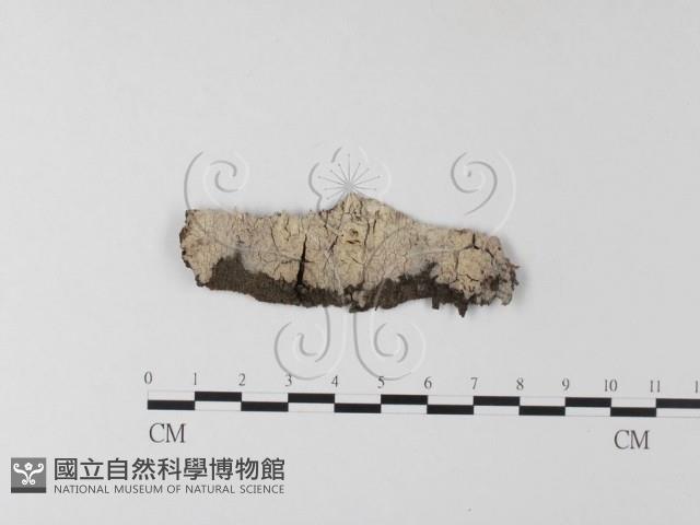 登錄號:F0023743藏品圖，第1張