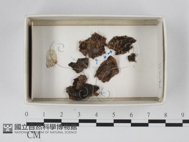 登錄號:F0018543藏品圖，第1張