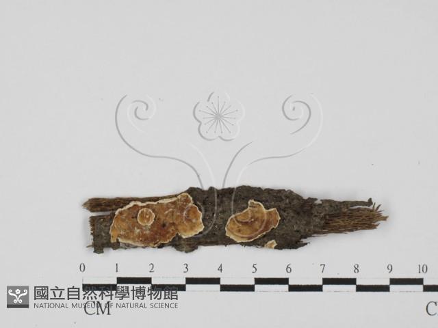 登錄號:F0027543藏品圖，第1張