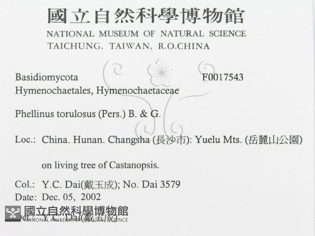 登錄號:F0017543藏品圖，第3張