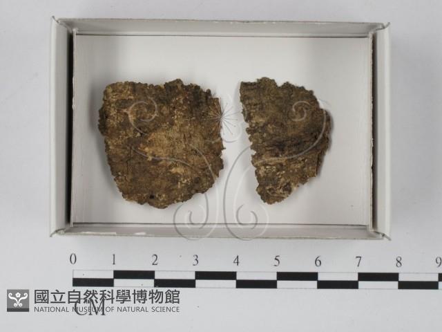 登錄號:F0018143藏品圖，第1張