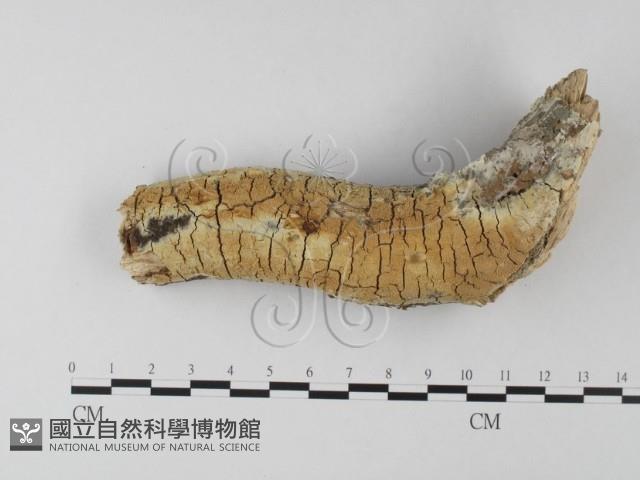 登錄號:F0020143藏品圖，第1張