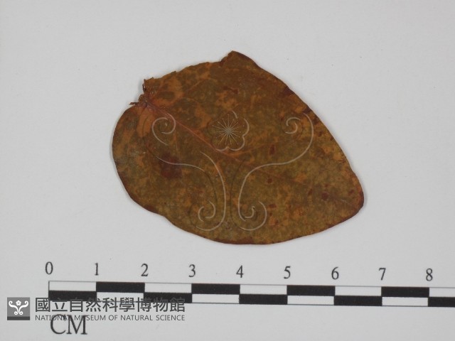 登錄號:F0010143藏品圖，第1張