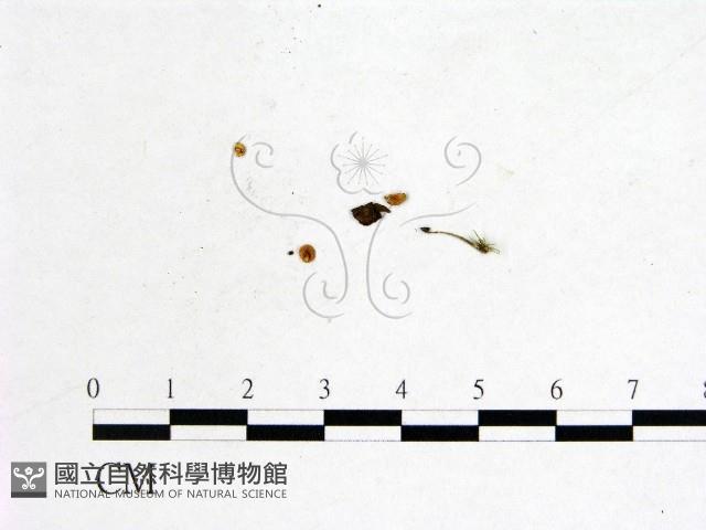 登錄號:F0001143藏品圖，第1張