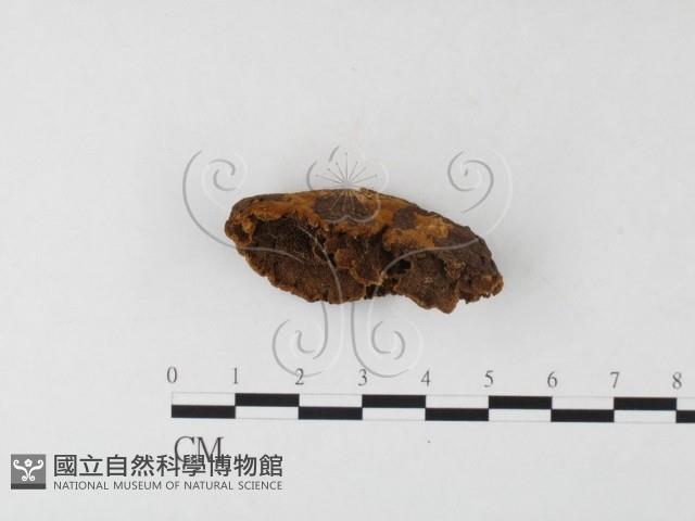 登錄號:F0026043藏品圖，第1張
