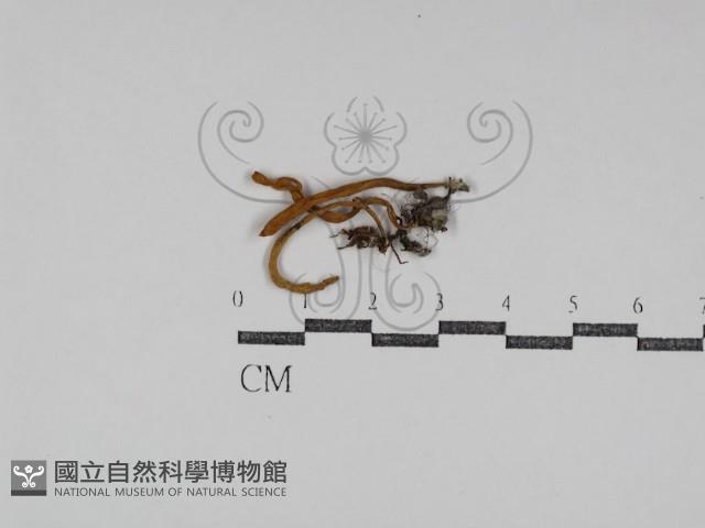 登錄號:F0031043藏品圖，第1張