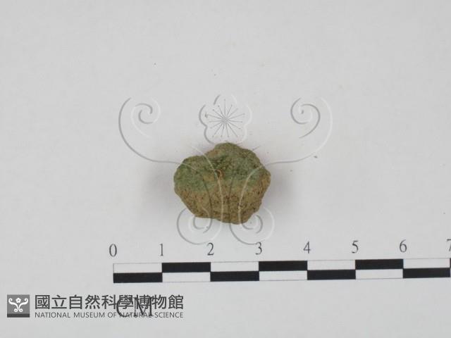 登錄號:F0019043藏品圖，第1張