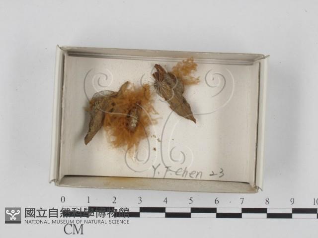館號:F0018343藏品圖，第1張