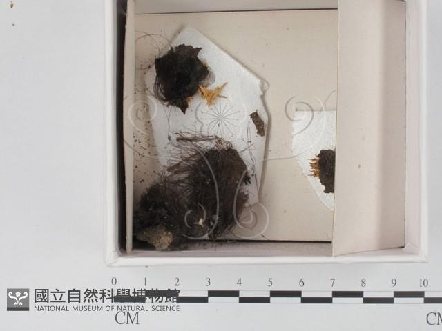 登錄號:F0021343藏品圖，第1張