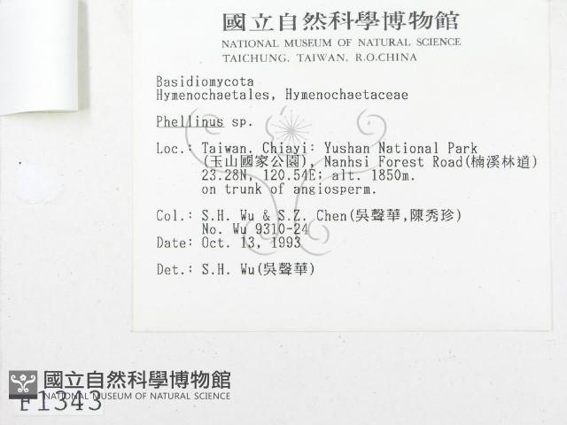 登錄號:F0001343藏品圖，第3張