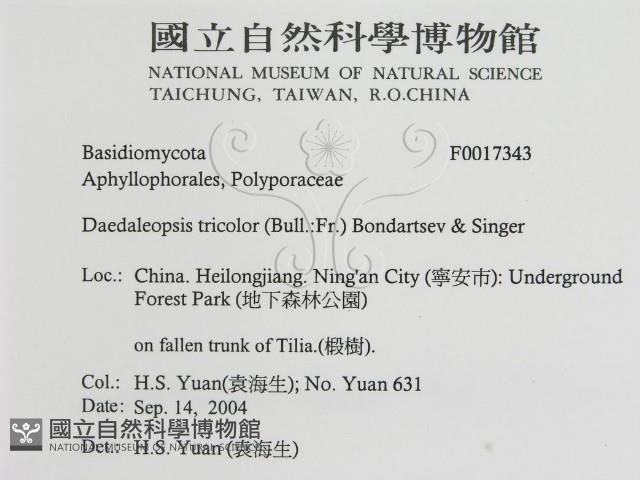 登錄號:F0017343藏品圖，第3張