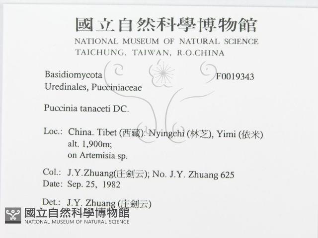 登錄號:F0019343藏品圖，第3張