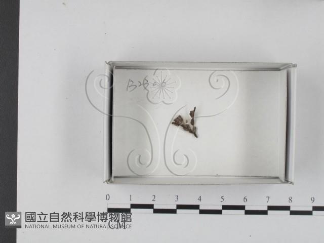 登錄號:F0018233藏品圖，第1張