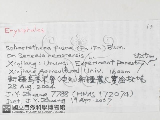 登錄號:F0026233藏品圖，第3張