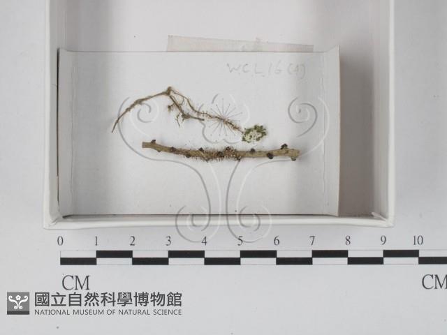 登錄號:F0021233藏品圖，第1張