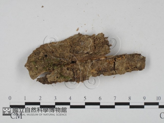 登錄號:F0014233藏品圖，第1張