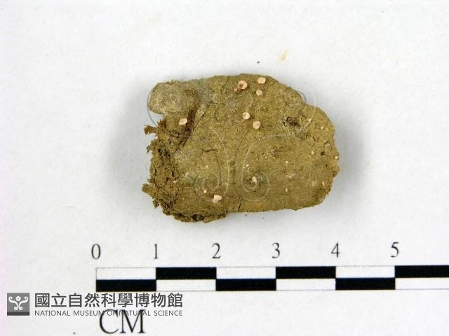 登錄號:F0002233藏品圖，第1張