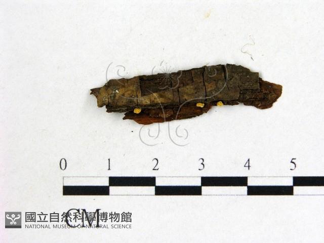 登錄號:F0012233藏品圖，第1張