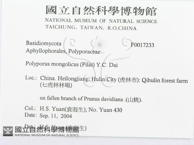 登錄號:F0017233藏品圖，第3張