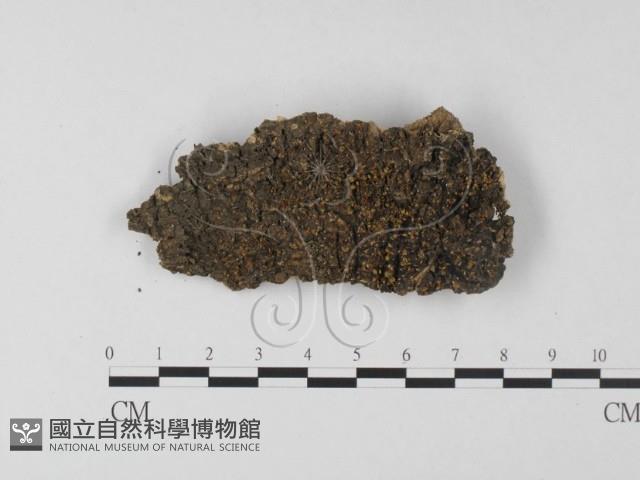 登錄號:F0023233藏品圖，第1張