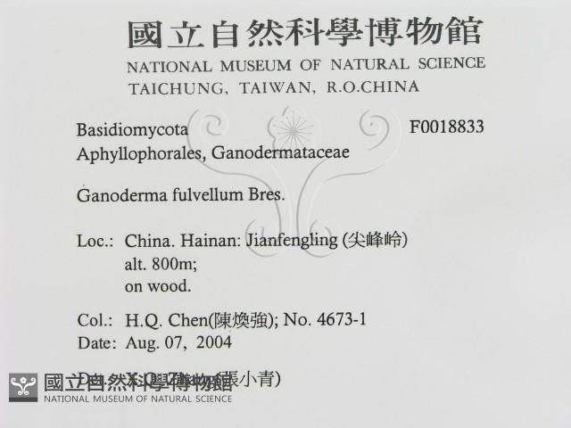 登錄號:F0018833藏品圖，第3張