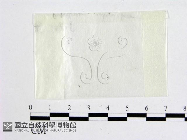 登錄號:F0001933藏品圖，第1張