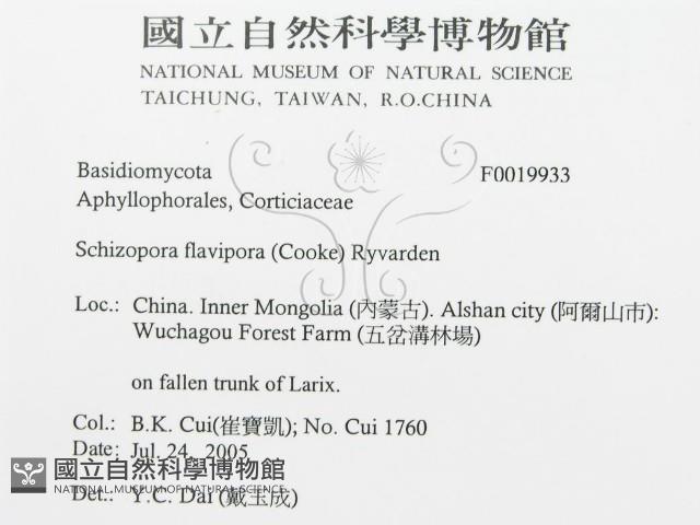登錄號:F0019933藏品圖，第3張