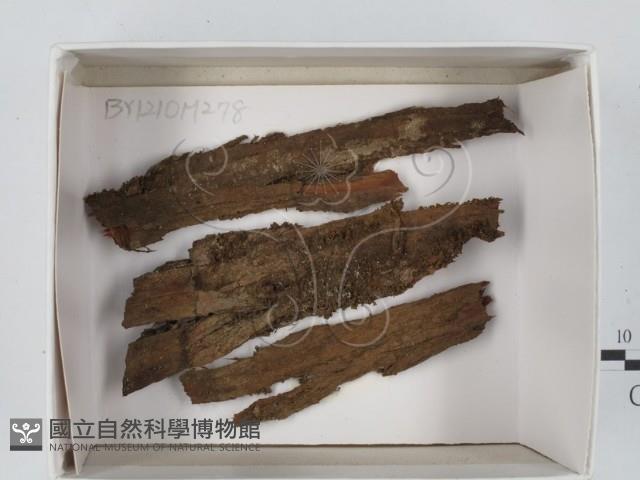 登錄號:F0018633藏品圖，第1張