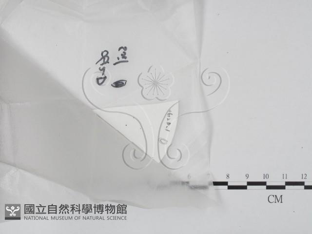 登錄號:F0020633藏品圖，第1張