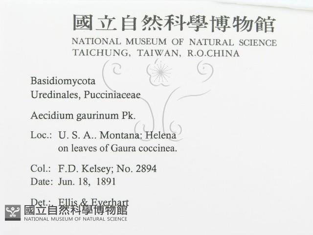 登錄號:F0011633藏品圖，第3張