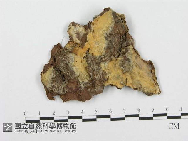 登錄號:F0004633藏品圖，第1張