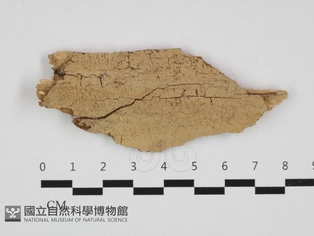 登錄號:F0032633藏品圖，第1張