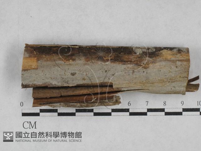 登錄號:F0028433藏品圖，第1張