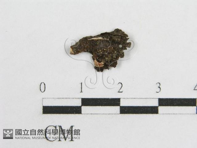 登錄號:F0004433藏品圖，第1張