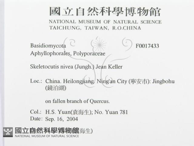 登錄號:F0017433藏品圖，第3張