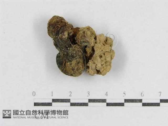 登錄號:F0005433藏品圖，第1張