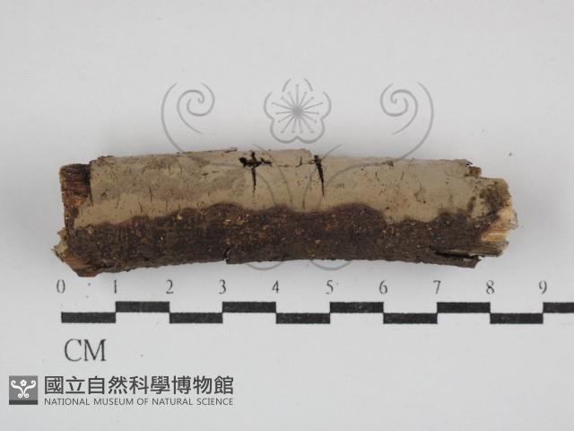 登錄號:F0030733藏品圖，第1張