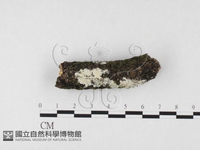 登錄號:F0026733藏品圖，第1張