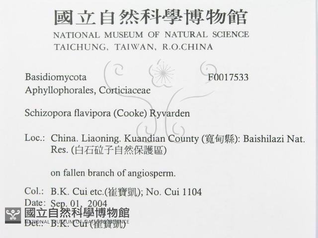 登錄號:F0017533藏品圖，第3張