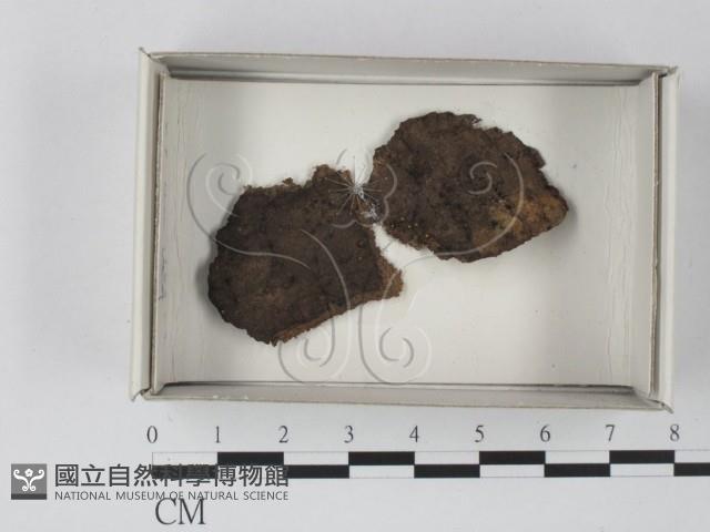 登錄號:F0018133藏品圖，第1張